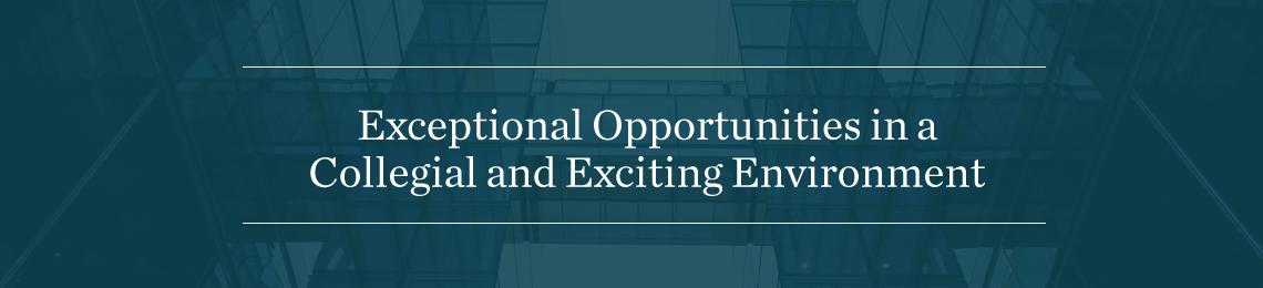 exceptional opportunity in a collegial and exciting environment